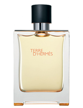 Hermes Terre D'hermes EDT