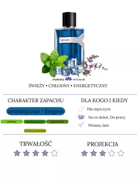 Yves Saint Laurent Y Iced Cologne woda toaletowa 2