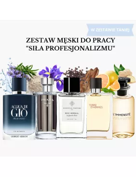 Zestaw Męski Do Pracy "Siła Profesjonalizmu" - próbki perfum od 2 ml