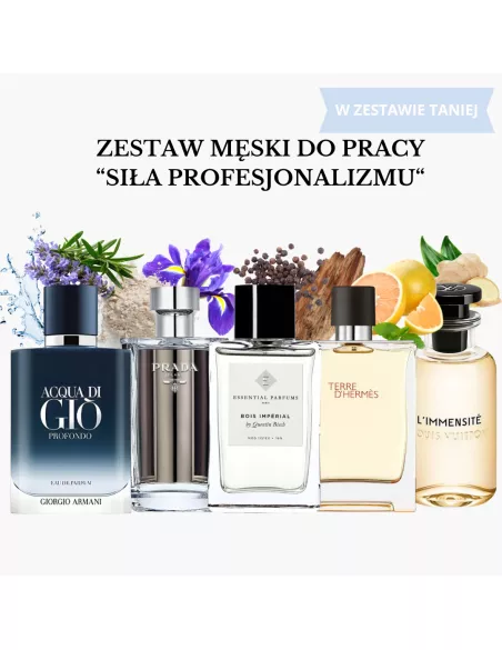 Zestaw Męski Do Pracy "Siła Profesjonalizmu" - próbki perfum od 2 ml